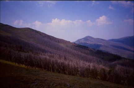 Yellowstone05