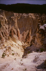 Yellowstone12
