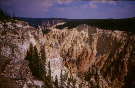 Yellowstone15