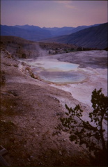 Yellowstone23