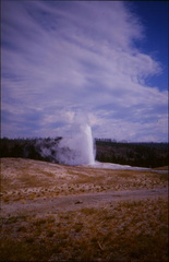 Yellowstone55